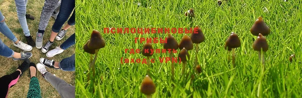 первитин Абинск
