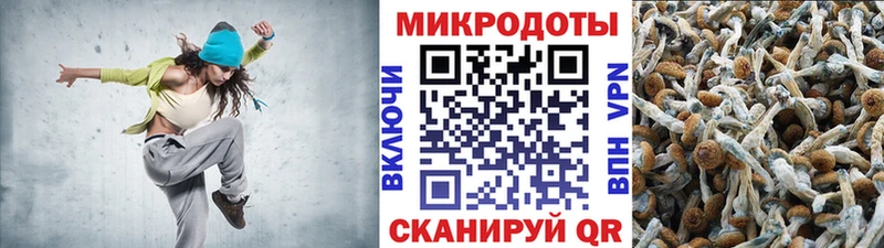 Псилоцибиновые грибы Cubensis  Керчь 