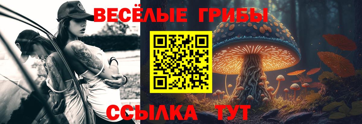 Галлюциногенные грибы Magic Shrooms Керчь