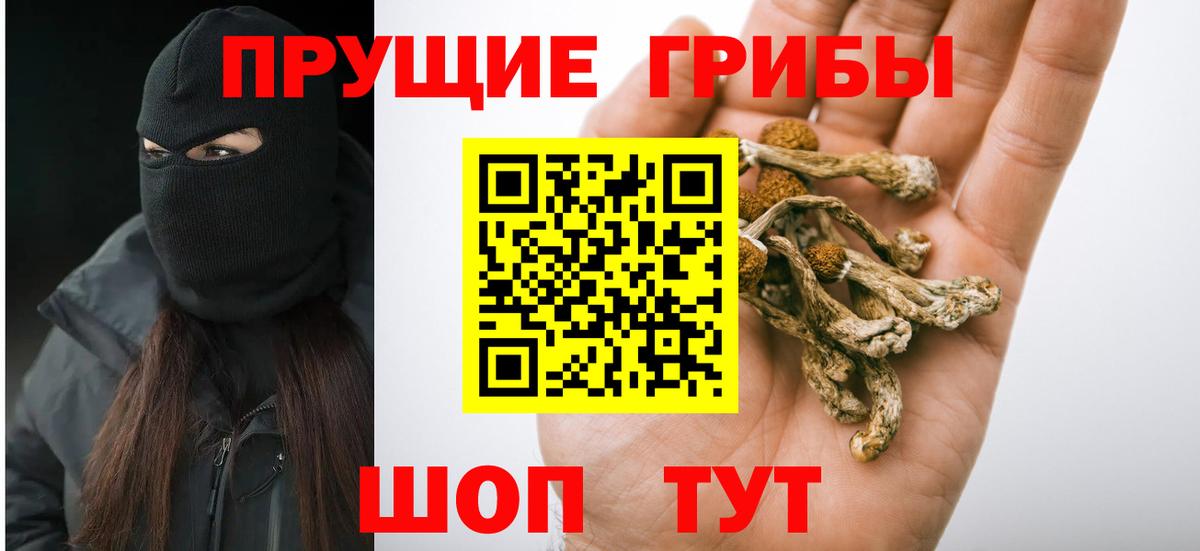Галлюциногенные грибы Cubensis  Вход с VPN  Керчь 